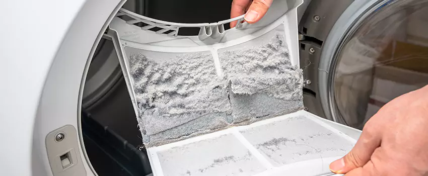 Best Dryer Lint Removal Company in Citrus Heights, California